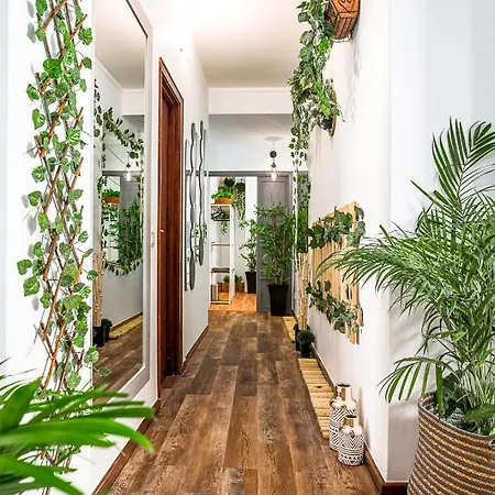 Albergue Avenue View