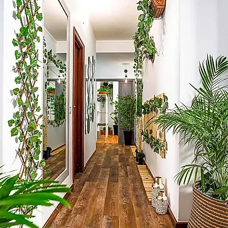 Avenue View بيت شباب *