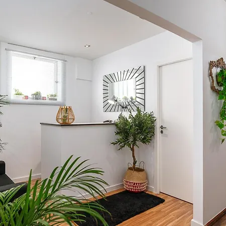 Hostal Avenue View - *